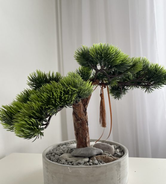 Kompozicija "Bonsai"