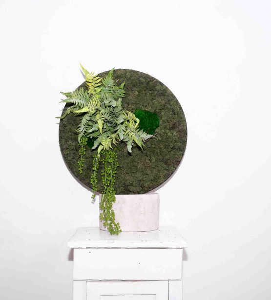 Sąmanų paveikslas "Senecio"
