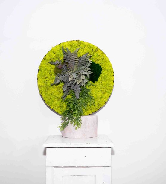 Sąmanų paveikslas "Spring Senecio"