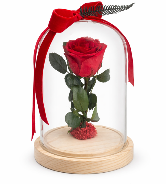 Mieganti rožė po stiklo gaubtu "Su meile ❤️“